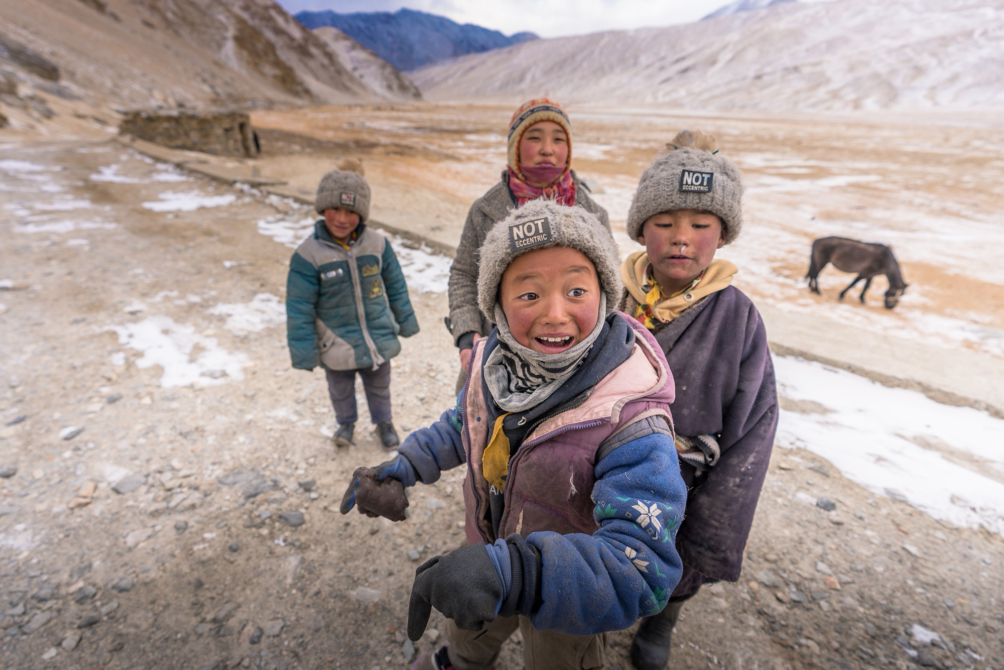 Changpa-Nomads-Ladakh_IMG_1476