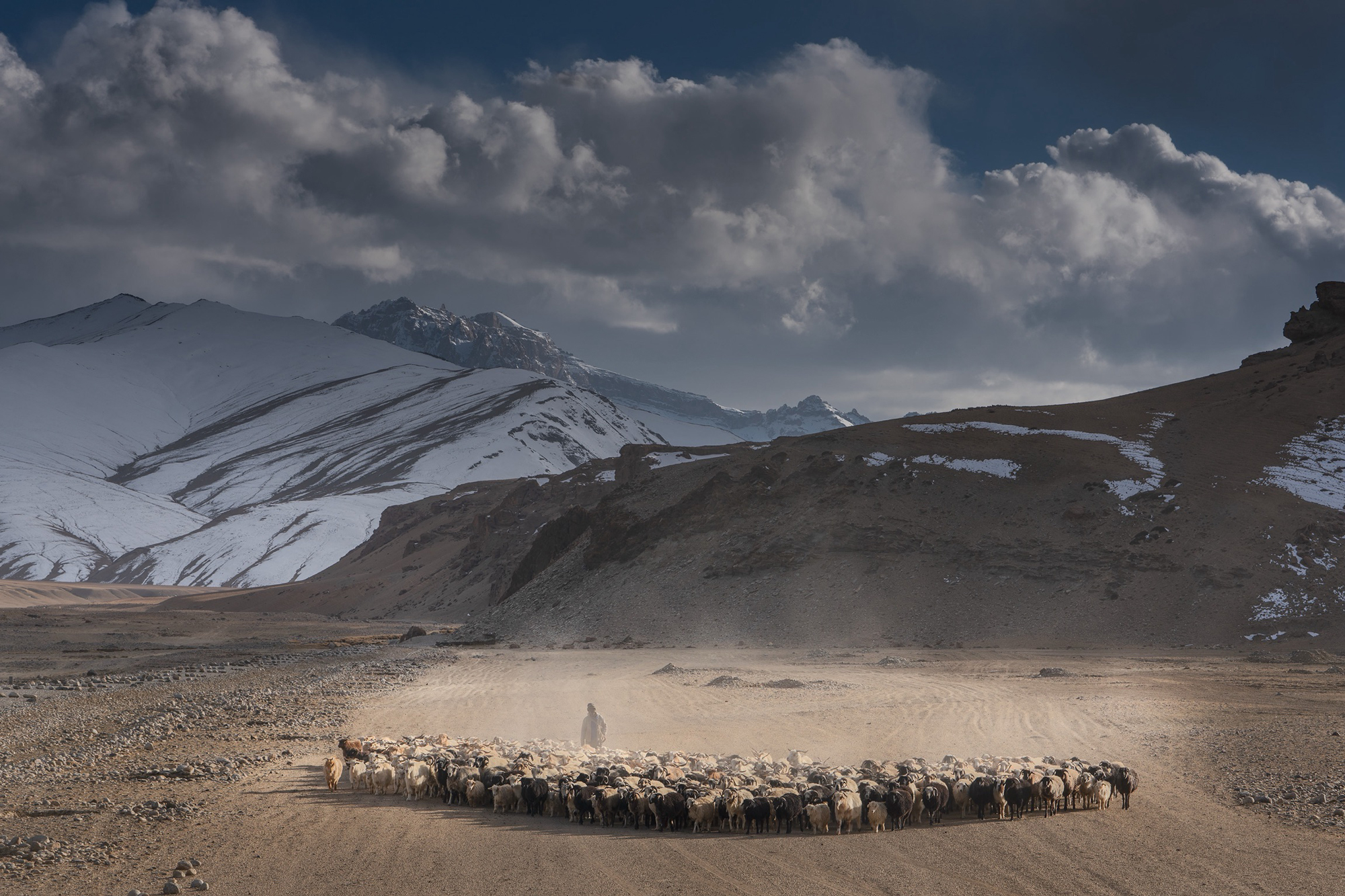 Changpa-Nomads-Ladakh_IMG_1863