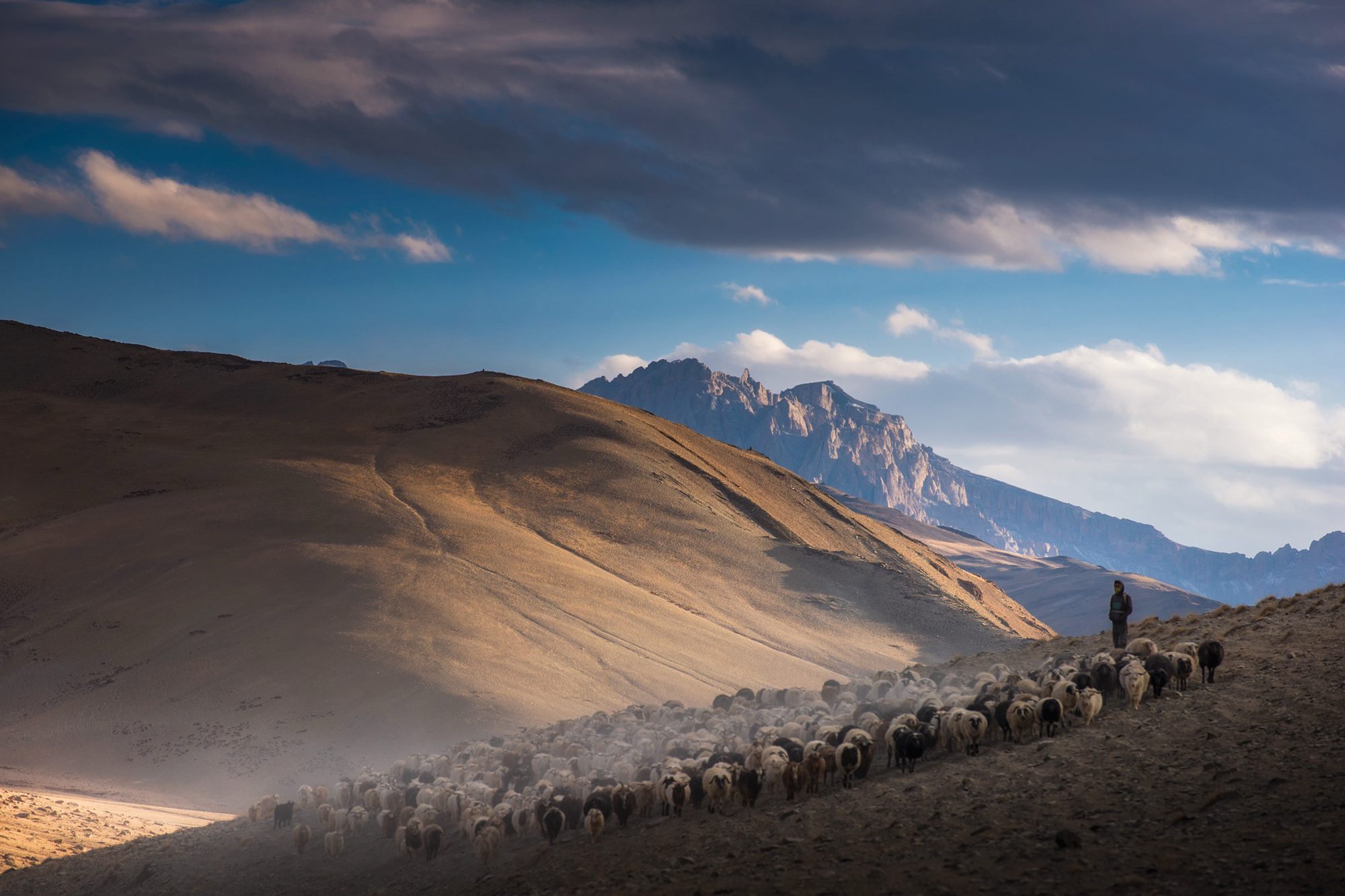 Changpa-Nomads-Ladakh_IMG_2400